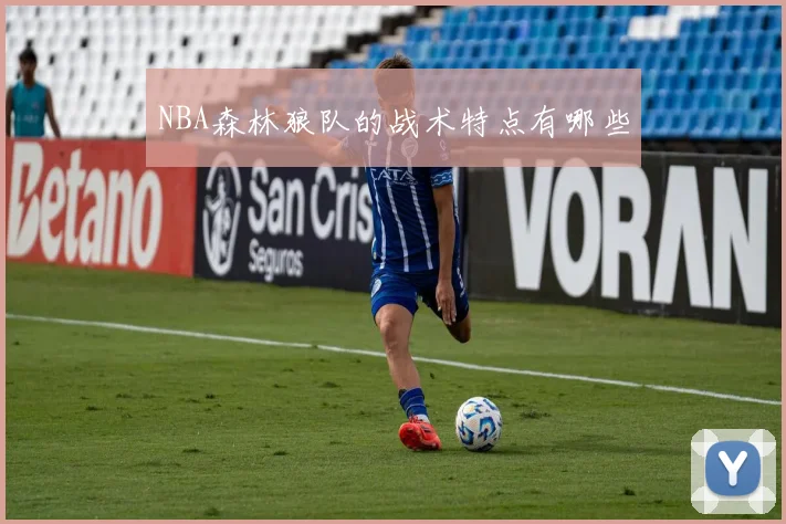 NBA森林狼队的战术特点有哪些